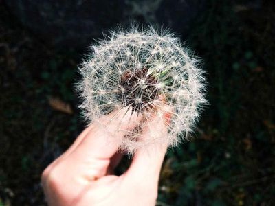 Chuyến du lịch Đà Lạt
